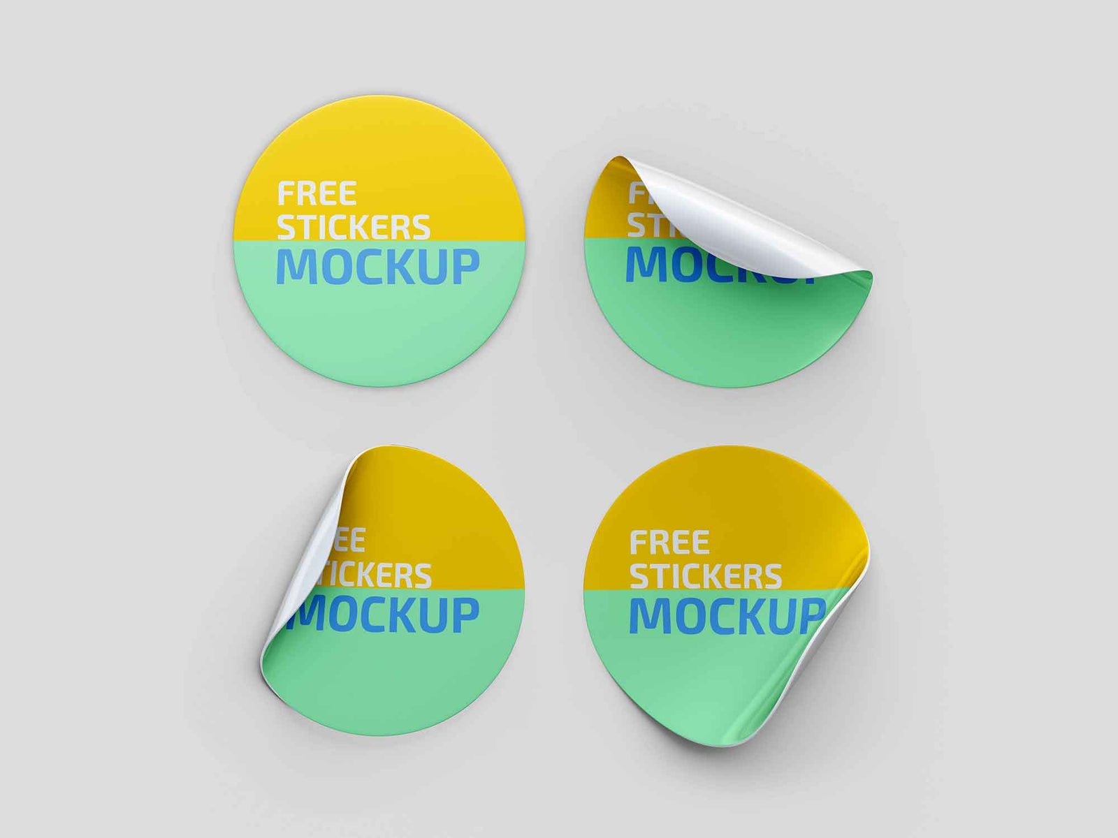 Circle Poly Roll Labels